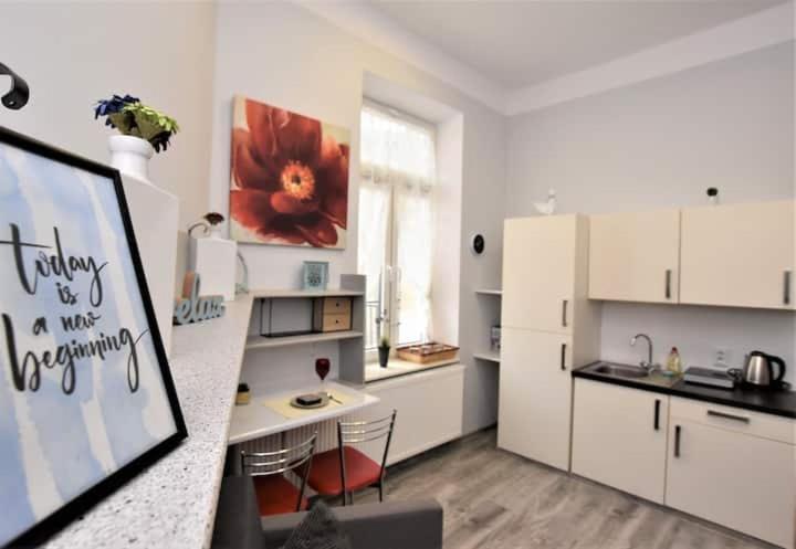 W Sercu Miasta Apartment